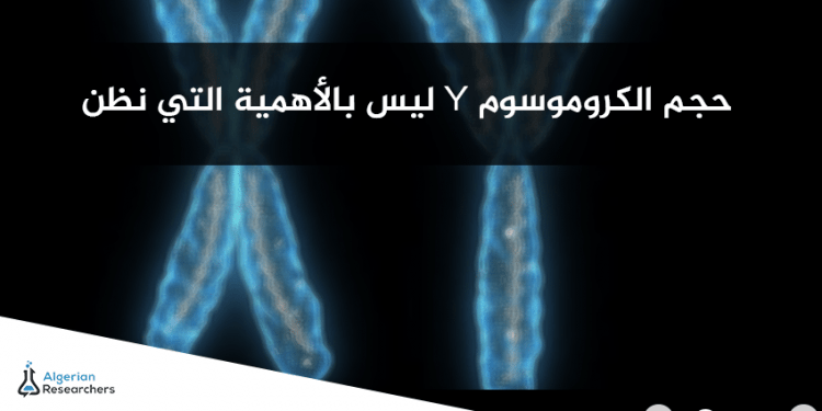 12472721 986534191462083 2931444564119165311 n