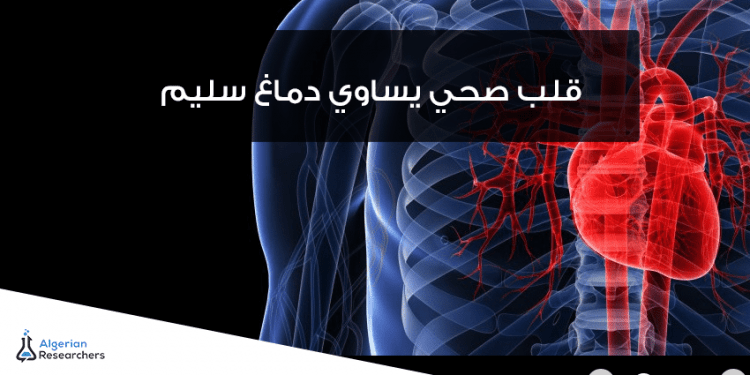 12931179 994683077313861 3192758115967489908 n