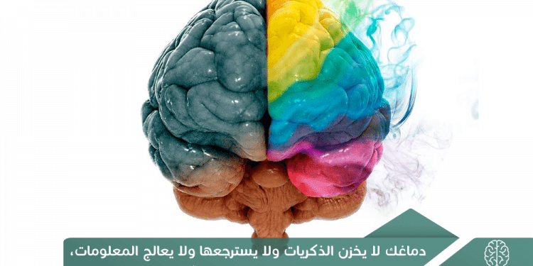 دماغك لا يخزن الذكريات ولا يسترجعها ولا يعالج المعلومات، باختصار هو ليس حاسب إلكتروني