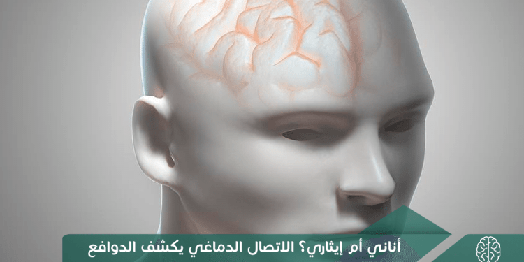 أناني أم إيثاري؟ الاتصال الدماغي يكشف الدوافع الخفية.