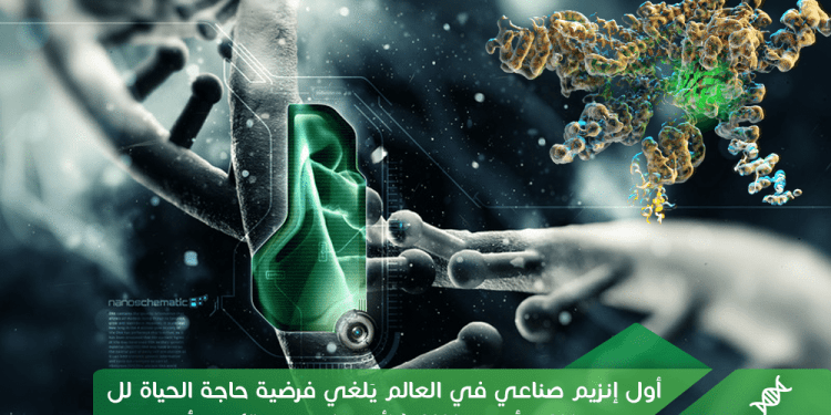 أول إنزيم صناعي في العالم يَلغي فرضية حاجة الحياة للDNA  أو لل RNA (الأحماض الريبية)