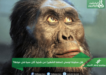 هل سقوط لوسي (سلفنا الشهير) من شجرة كان سببًا في موتها؟