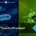 فيروس أم بكتيريا؟
