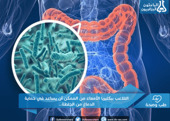 التلاعب ببكتيريا الأمعاء من الممكن أن يساعد في حماية الدماغ من الجلطة