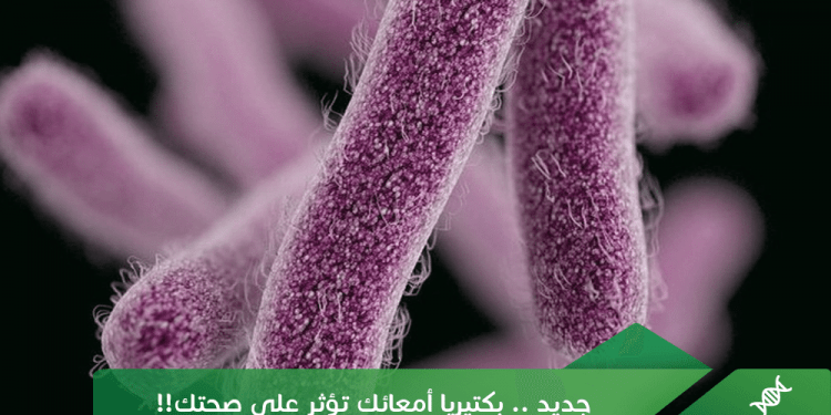 جديد .. بكتيريا أمعائك تؤثر على صحتك!!