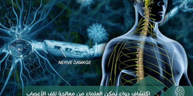 اكتشاف دواء يمكن العلماء من معالجة تلف الأعصاب