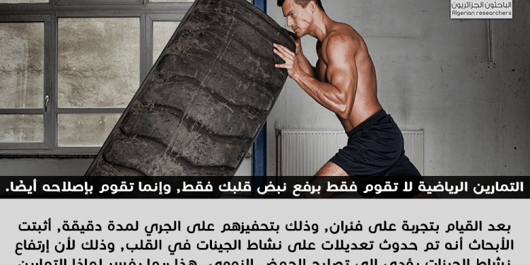 التمارين الرياضية لا تقوم فقط برفع نبض قلبك فقط