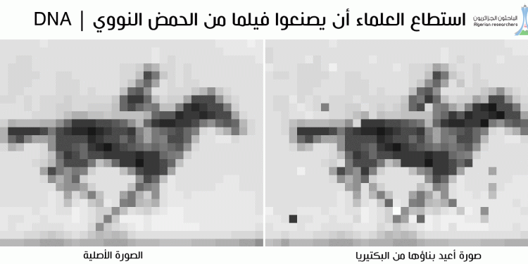 استطاع العلماء أن يصنعوا فيلما من الحمض النووي DNA