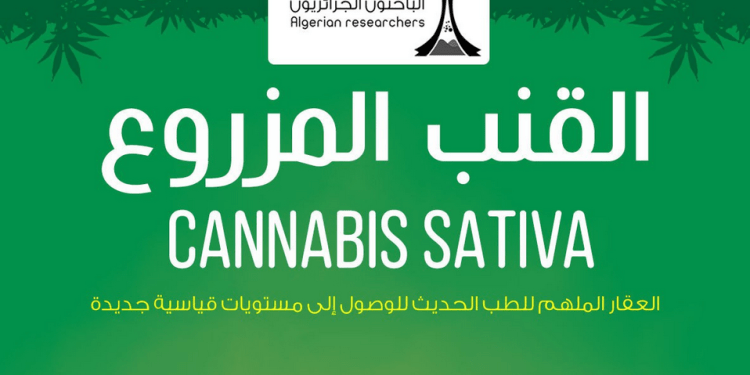 انفوغرافيك: القنب المزروع – Cannabis Sativa