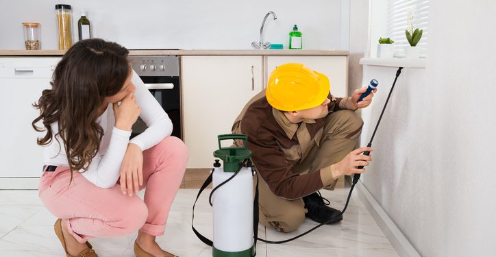 أضرار ومخاطر المبيدات المنزلية