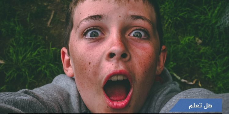 تطبيق Google Arts Culture- هل تعلم