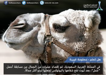 معلومة غريبة-هل تعلم