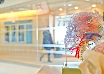 بحث جديد يلقي الضوء على السبب الكامن وراء إصابة الدماغ بالسكتة الدماغية