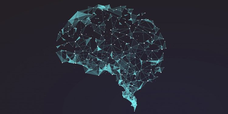 كيفية إعادة برمجة خلايا الذاكرة في الدماغ