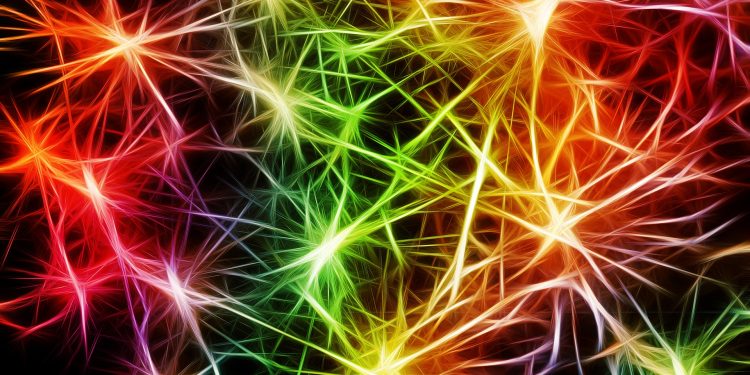 التغيرات الشكلية للعصبونات تحرضها الإشارات المتبادلة فيما بينها