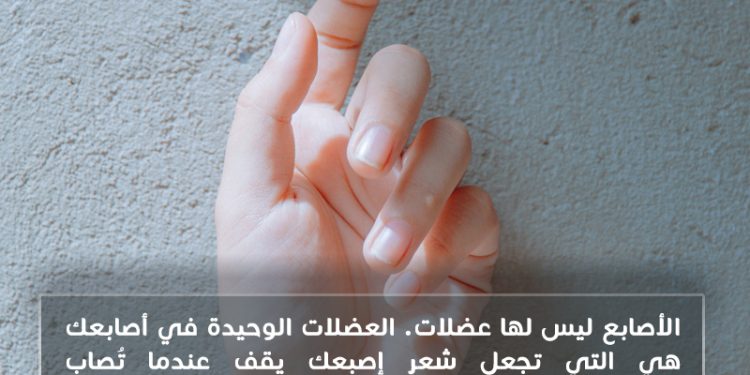 هل  تعلم؟ هل لدينا عضلات في أصابعنا؟