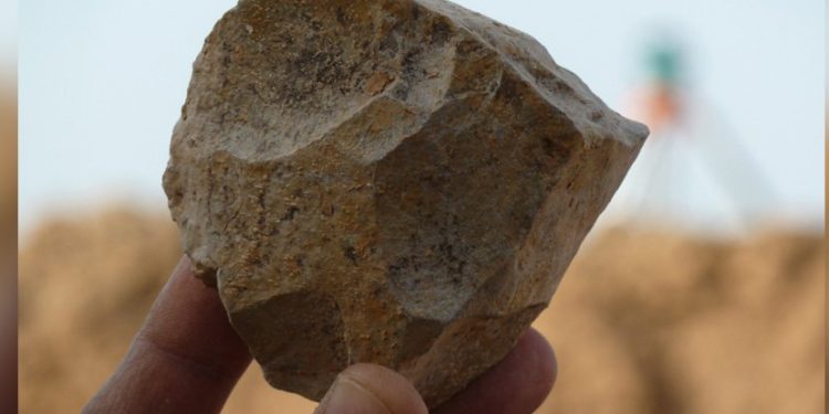 حفريات وجدت بالجزائر تزيد احتمالية أنّ شمال افريقيا هي مصدر الأدوات الحجرية البدائية: