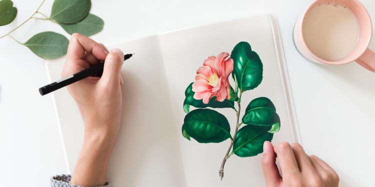 الرسم أحسن من الكتابة لحفظ المعلومات