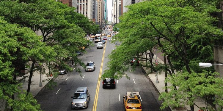 في المدينة، غرسُ شجرة يعوض 5 مكيفات هواء